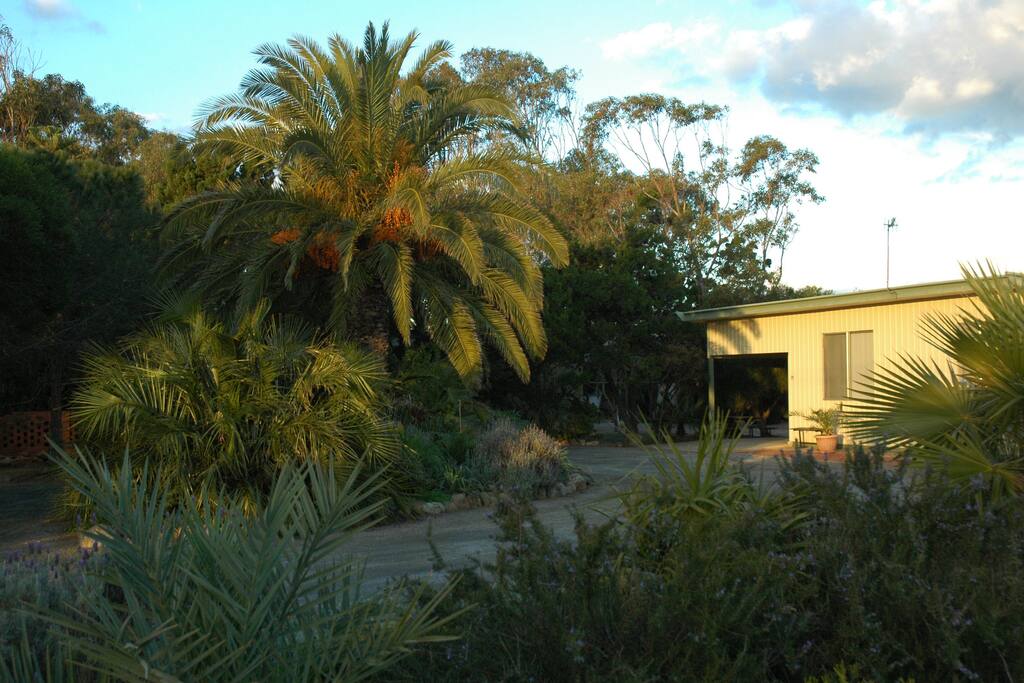 Spacious Gardens with century old palms