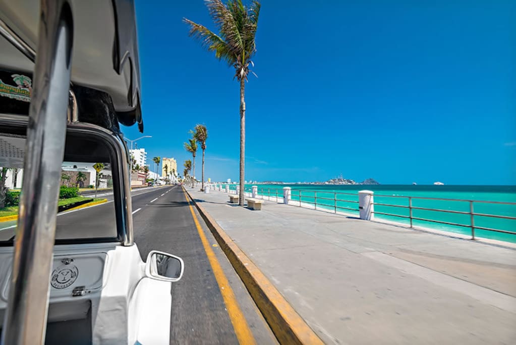Paseo Pulmonia
