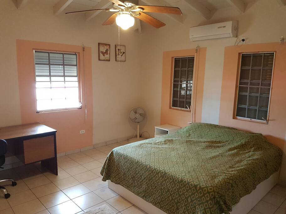 Cozy room with desk & chair, oscillating & ceiling fans, a/c unit and bed (out of frame is the closet space and extra night table)