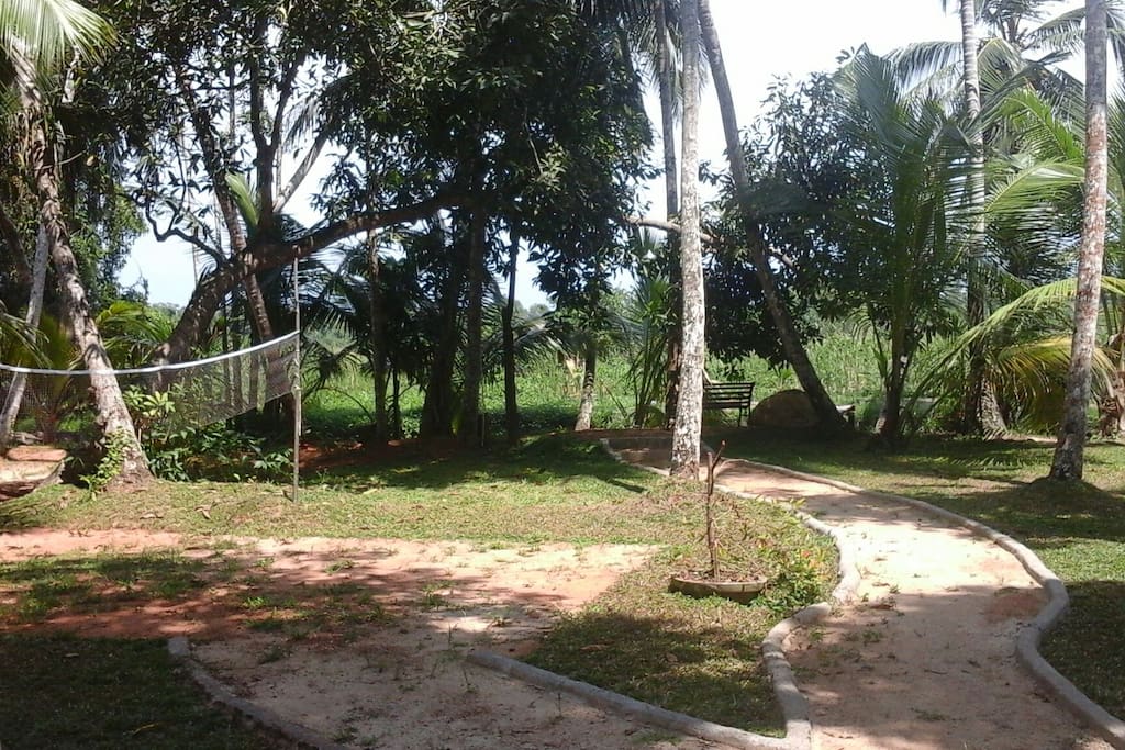 Big garden
