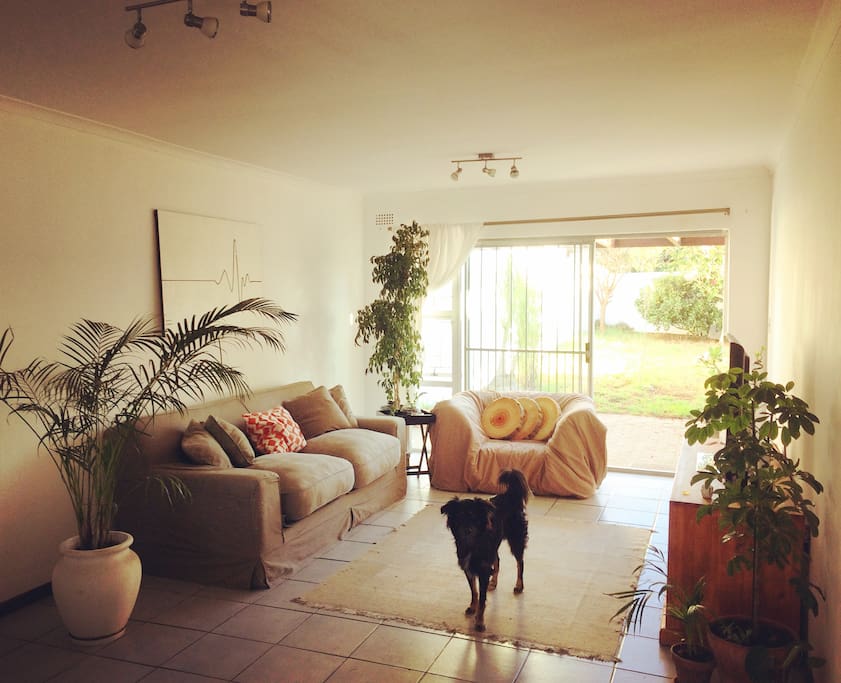 Living room, and the main man Tonto the dog :)