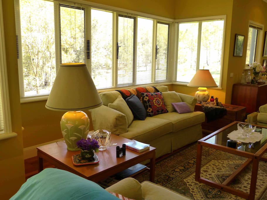 Living room bay window