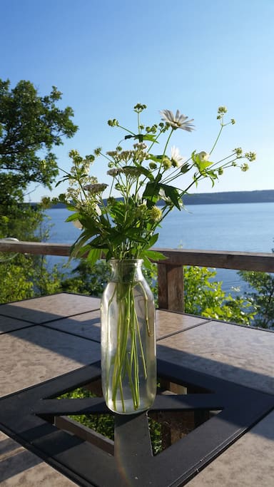 wild flowers hand picked over looking the lake