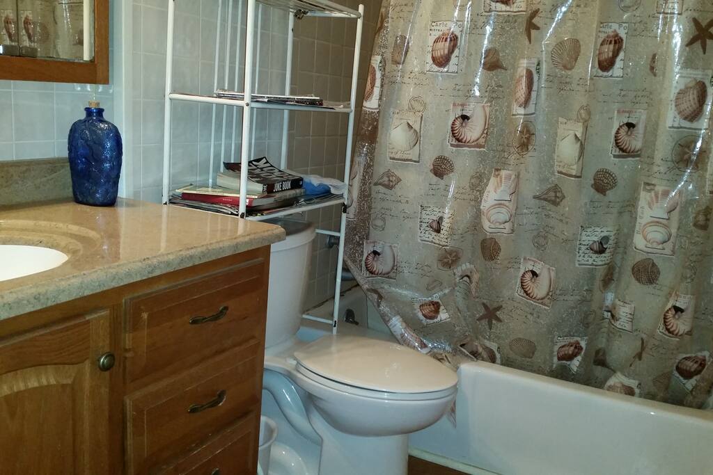 Full bath with excellent water pressure! Clean towels.