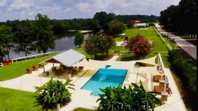 An inviting outdoor area features a modern swimming pool surrounded by sun loungers and shaded sitting areas. Nearby, lush greenery and trees frame the landscape, enhancing the tranquil ambiance. The view includes a serene water body in the background, creating a picturesque recreational space.
