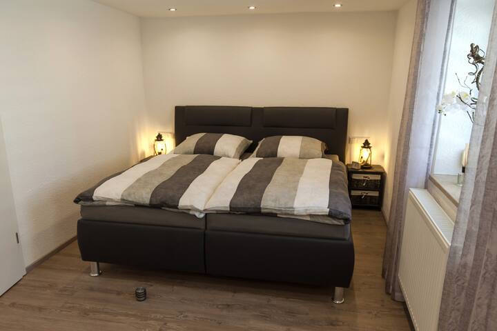 Singlepartys koblenz photo 3