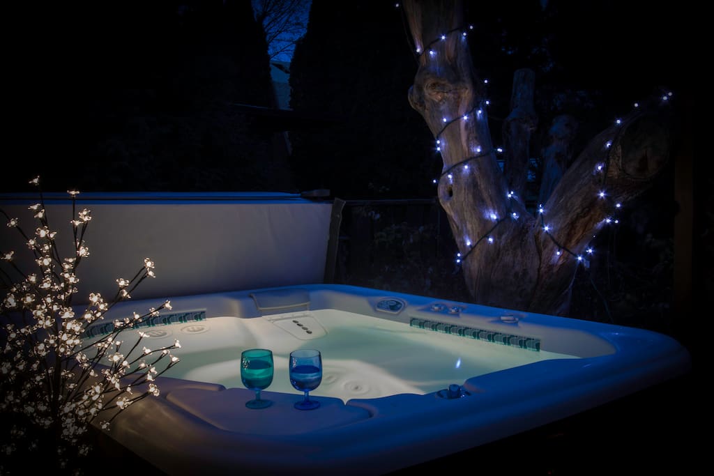 Enjoy the hot springs spa in the back yard.