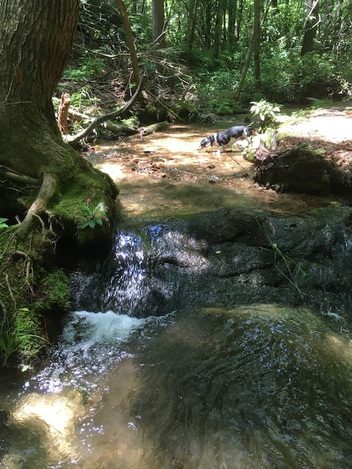 I am so in love with this creek!!!!