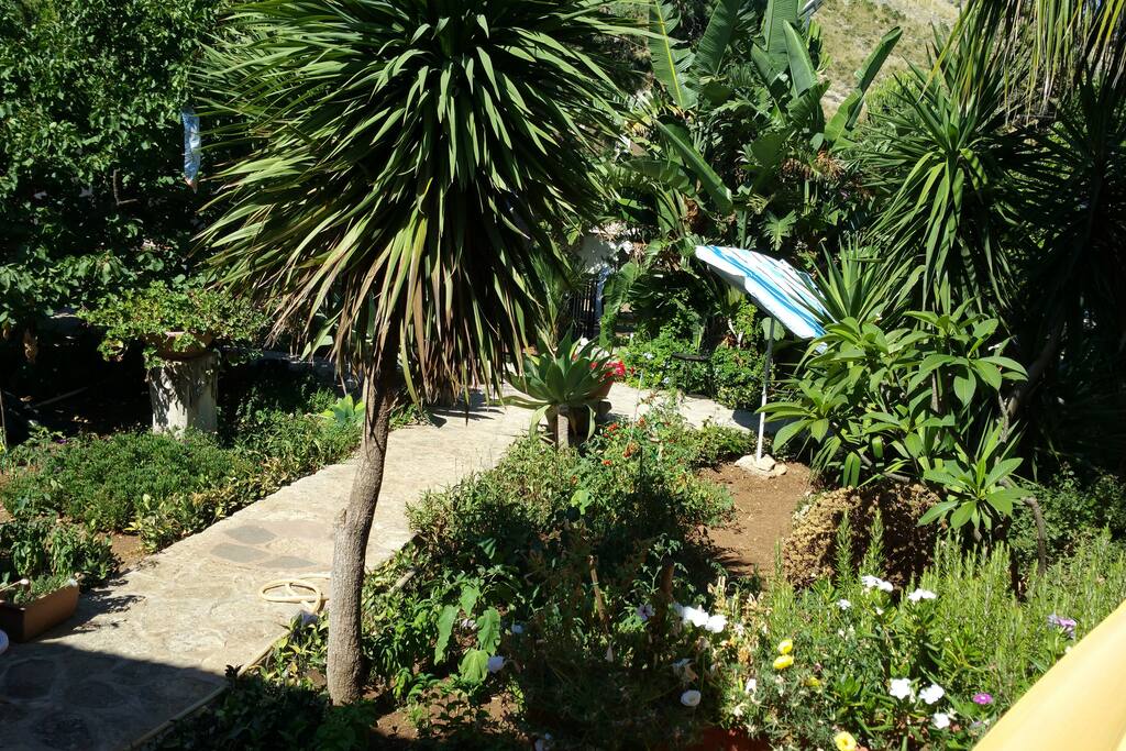 giardino
