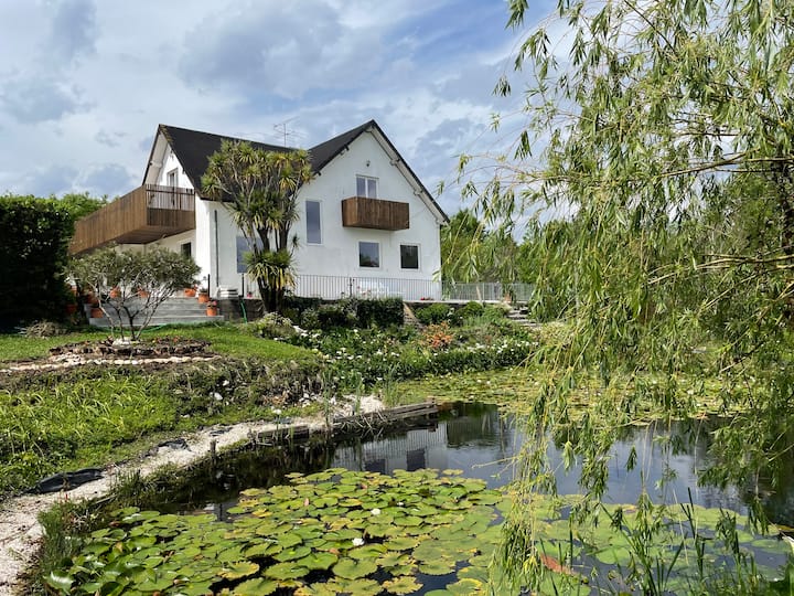 Villa with pool, pond, forest and AC