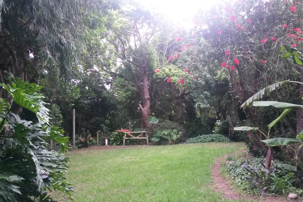 Garden leading to pool