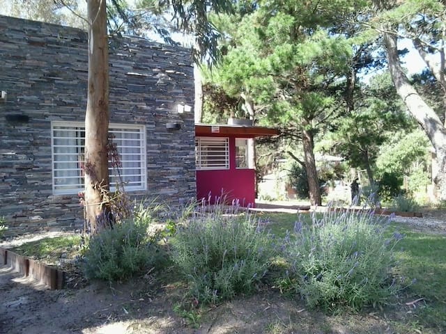 Bosque y playa - Casa Nomeolvides 1