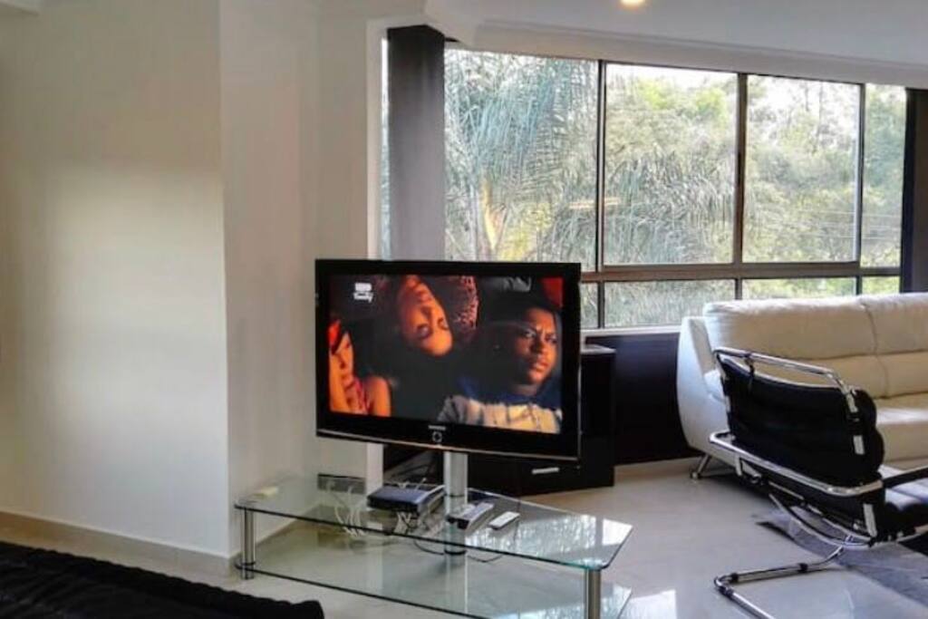 Televisor