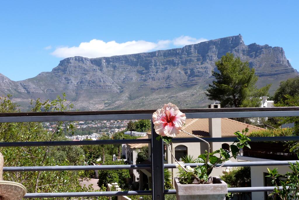 Table Mountain