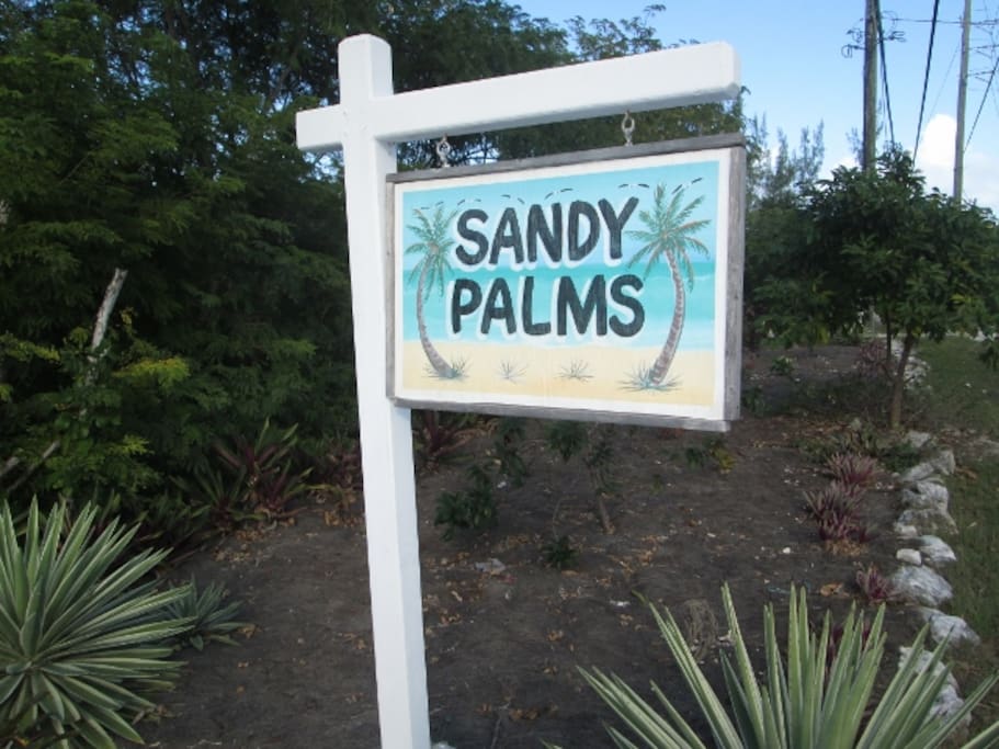 Welcome to Sandy Palms