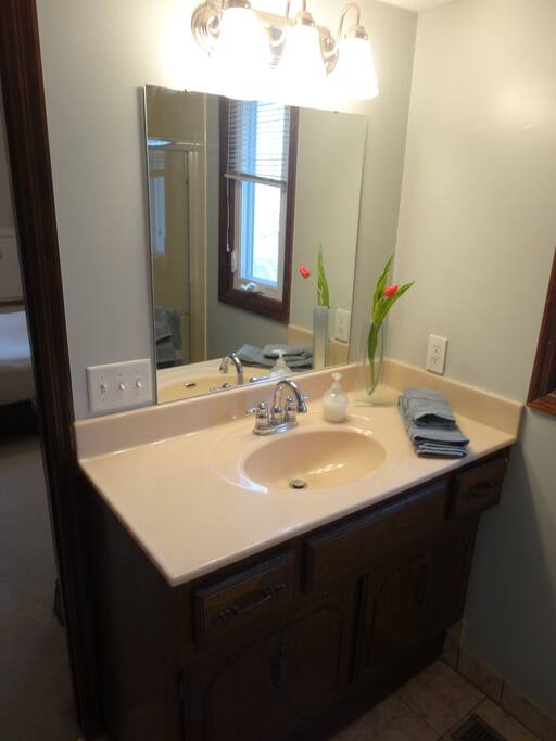 Master bathroom