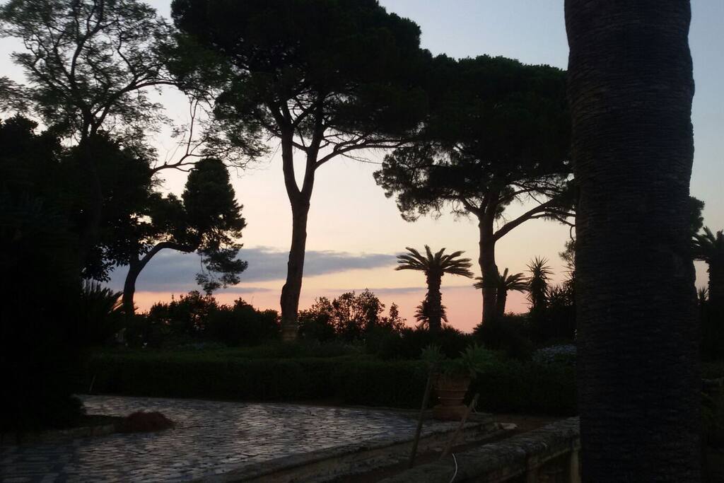 view from the terrace