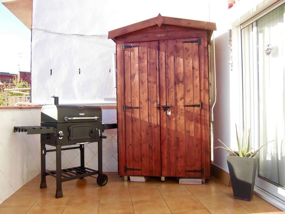 Terraza - Barbacoa y Acceso al Salón.