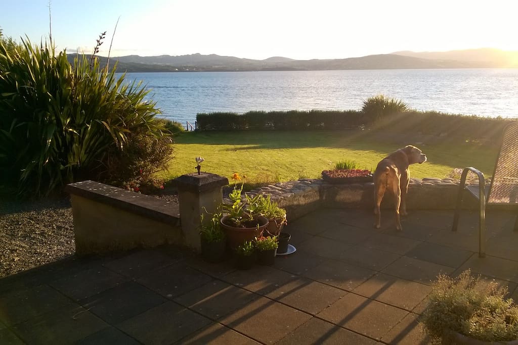 view from patio area