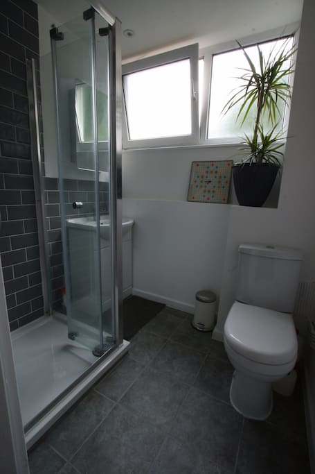 Newly refurbished bathroom with deluxe shower