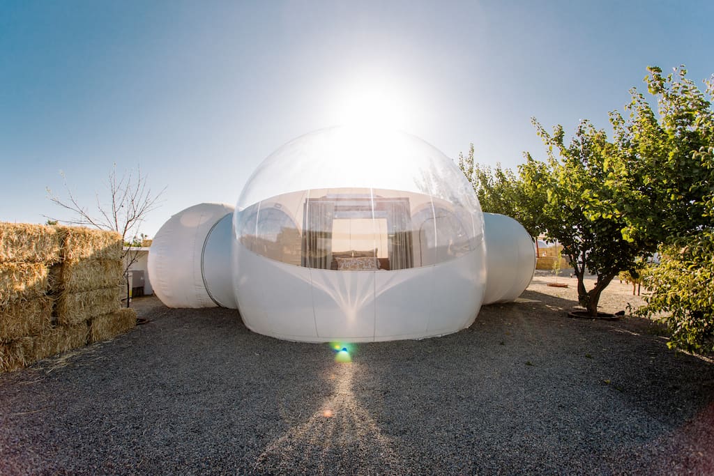 Том пузыри игра. New bubble. New bubble. Игра бубль. Отражение в мыльном пузыре.