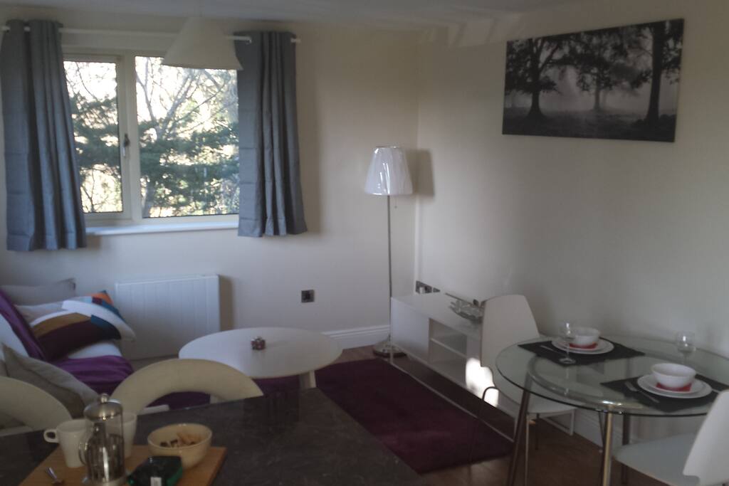 Living area of the Kitchen/living room