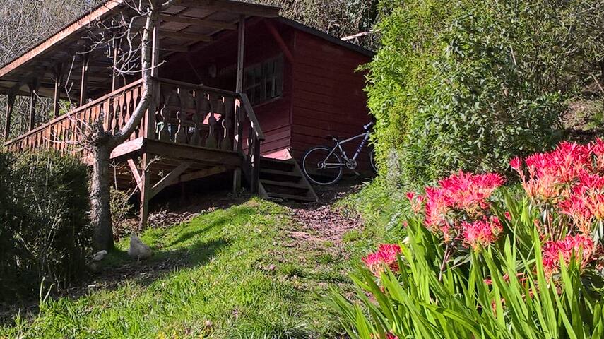 Surfers and walkers cosy camping cabin