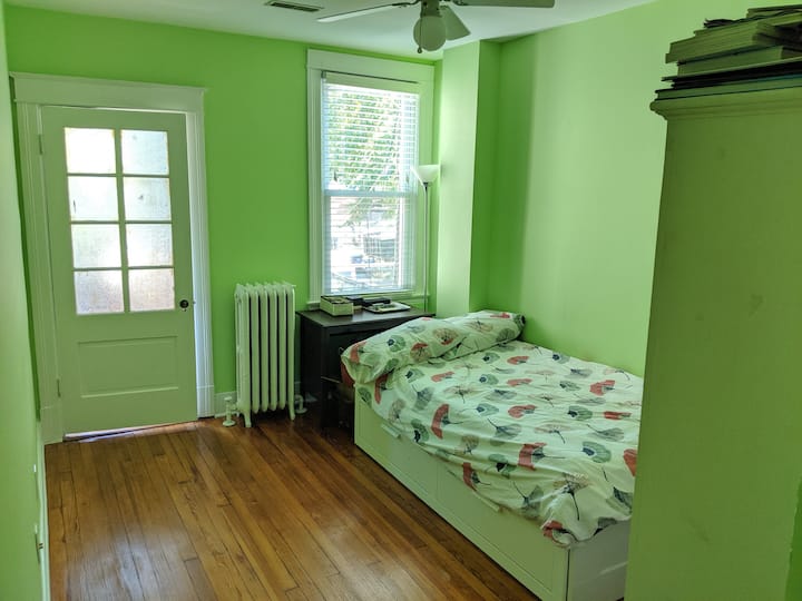 Guest room a.k.a. the green room. In real life it is not THAT green, it's just the way the camera captured the lighting. The single bed pulls out and converts to a king size bed.