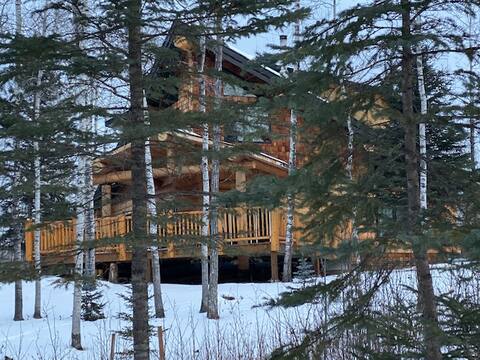 Luxury modern log cabin