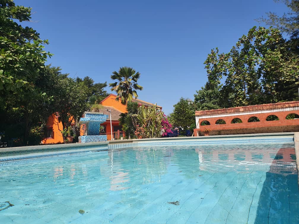 A tranquil swimming pool reflects the clear blue sky, surrounded by lush greenery and colorful flowers. A vibrant orange building is visible in the background, complemented by a decorative water feature. The area offers a serene and inviting environment for relaxation.