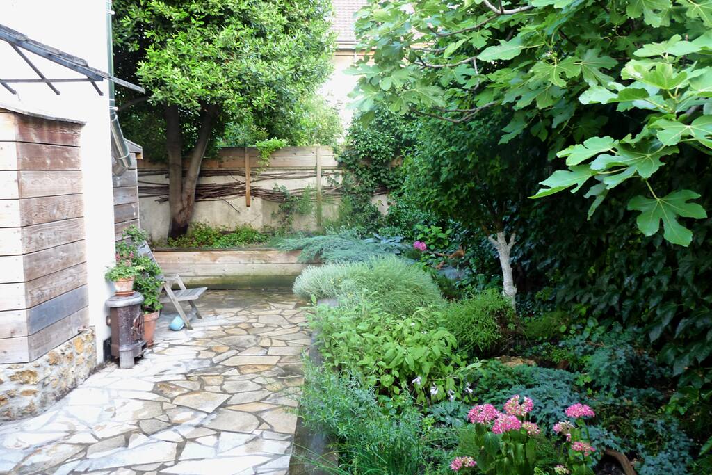 Le jardin arrière / the back garden