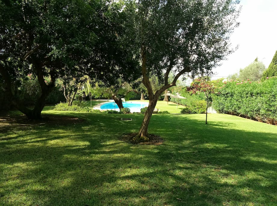 zona cesped piscina