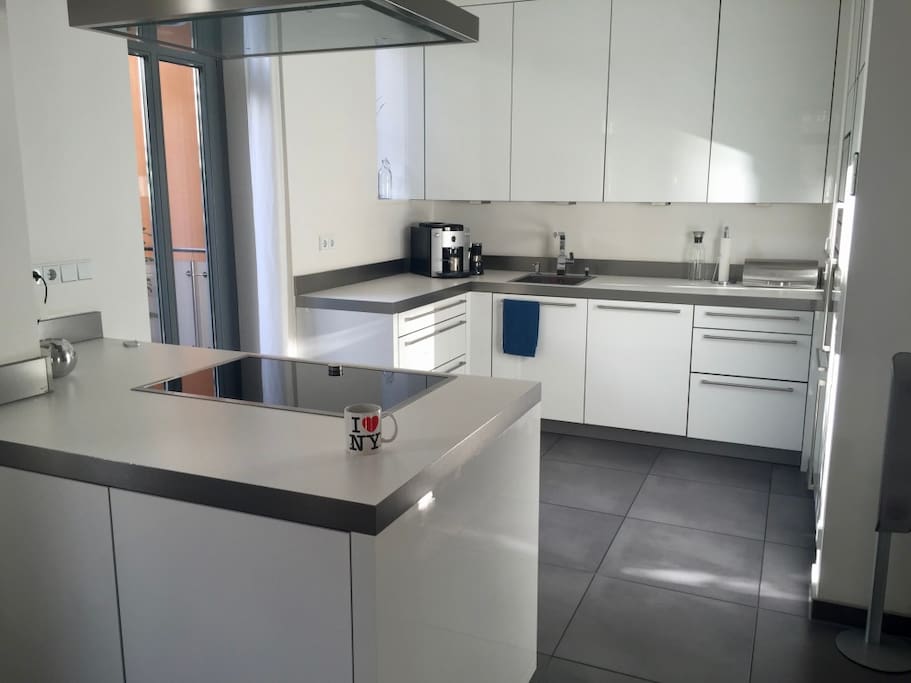 fully equipped kitchen with dishwasher, oven, microwave, fridge, freezer and induction stove top