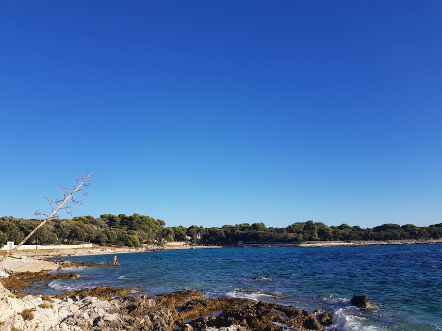 Plaža za goste