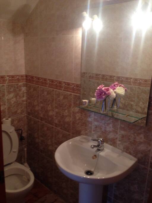 A small toilet downstairs.