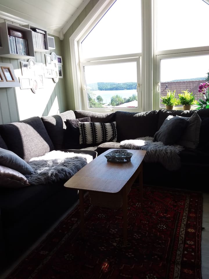 Გახსენით ლოფტის მისაღები ოთახი ორადგილიანი საძილე ტახტით 