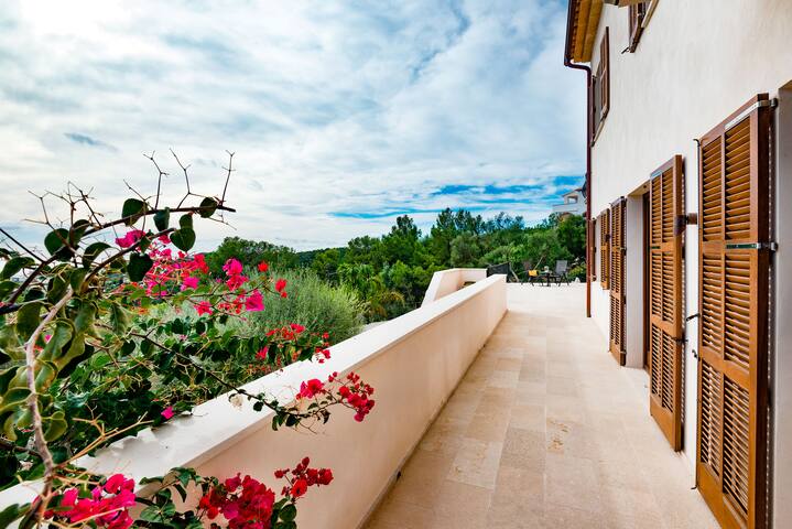 Villa Oasis Palma Bay gallery image 3