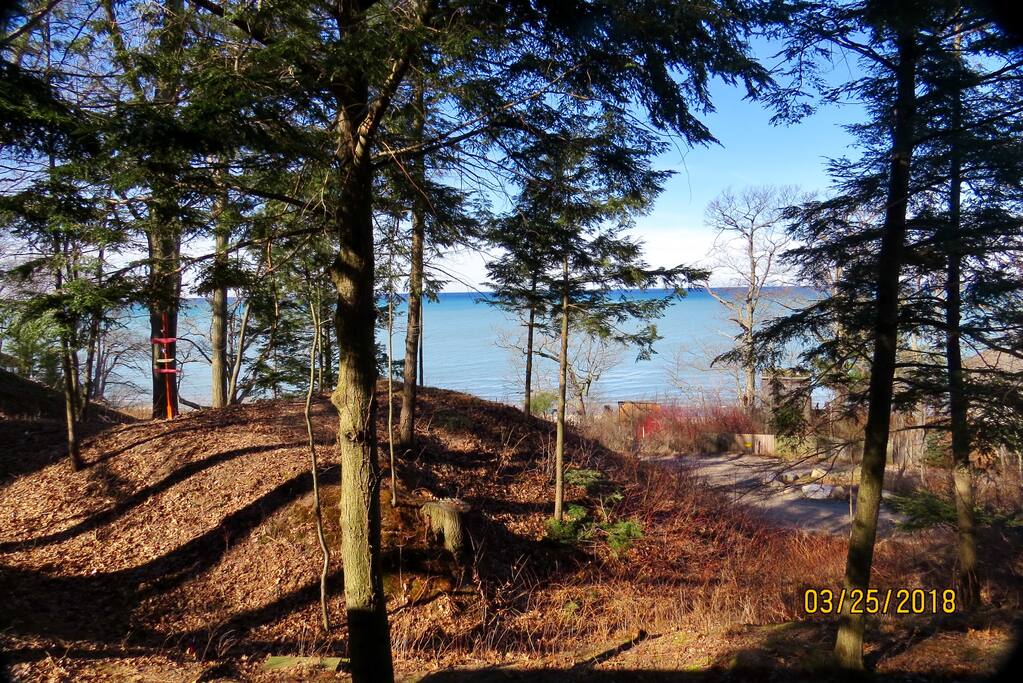 View from deck