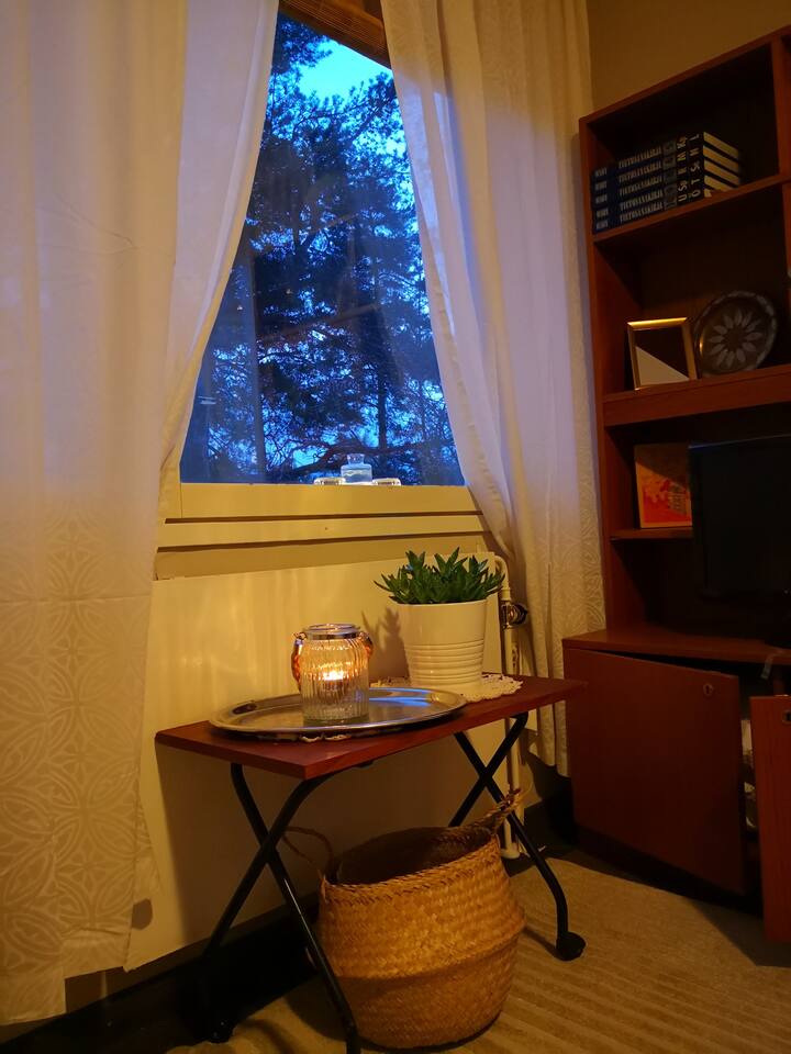 One room converts in this apartment for multiple. Sitting on the couch, you can see the tops of the yard and the sky opens through two windows. 