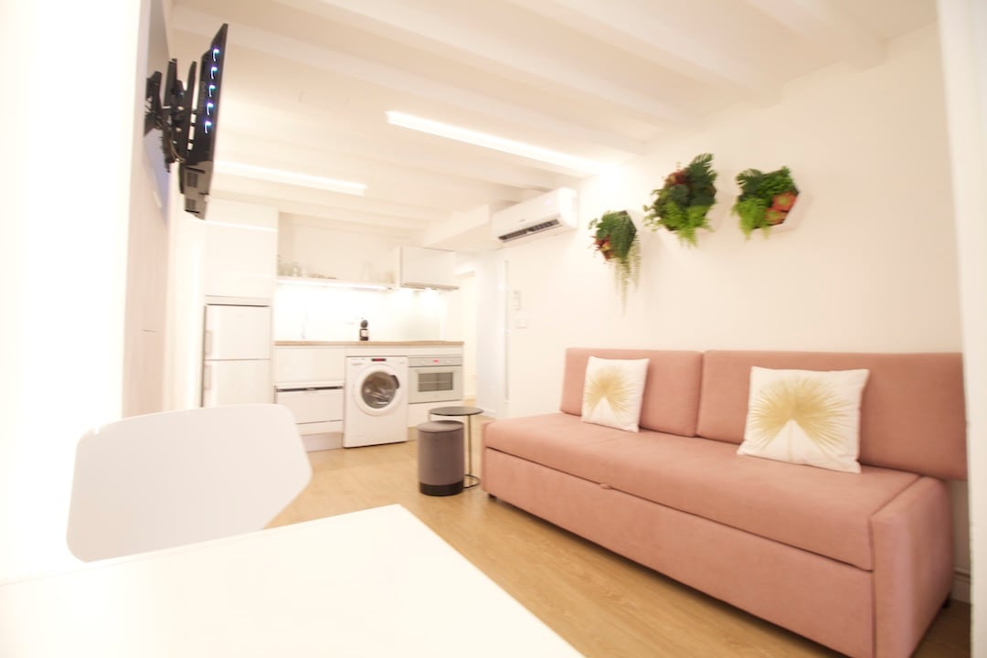 A modern living area features a pink sofa adorned with decorative pillows, complemented by a round waste bin. A wall-mounted TV is visible, alongside a compact kitchen area equipped with essential appliances, including a washer. Green wall plants add a touch of nature to the space.