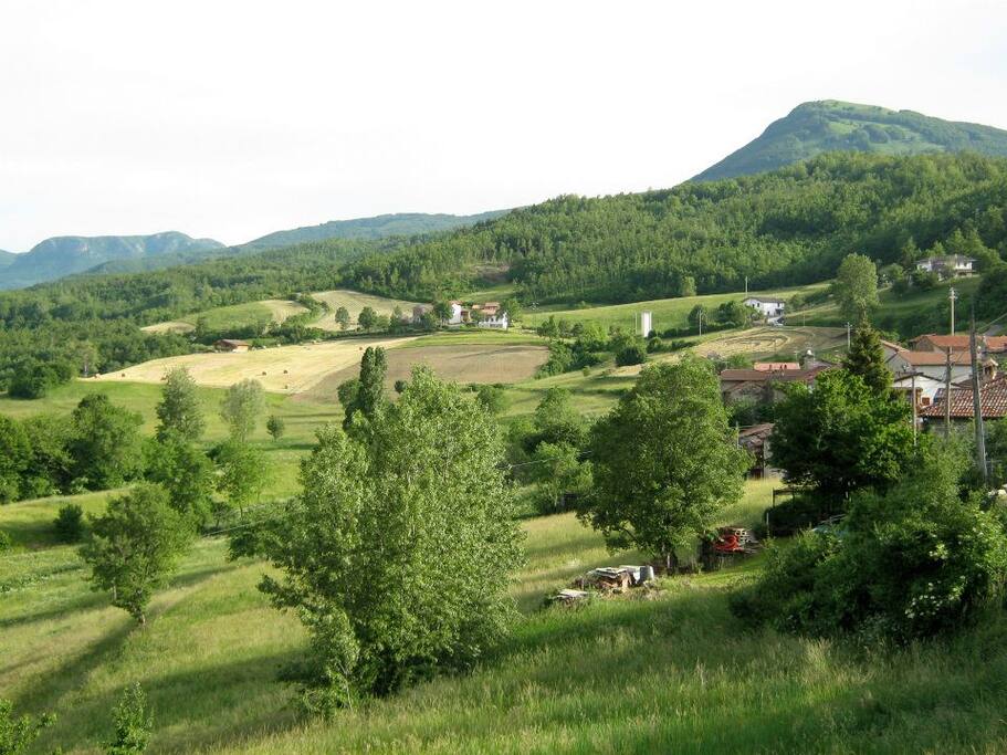 View of village from church.