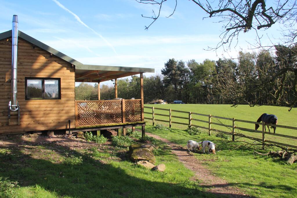 Wooden Lodge overlooking woodland