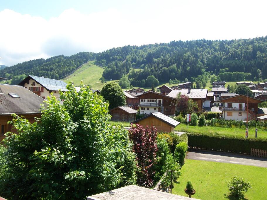 vue depuis le chalet