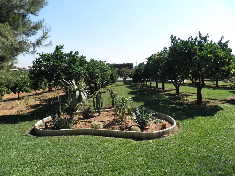 jardín (2)