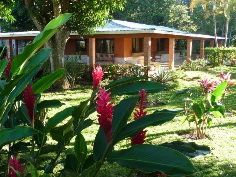View of the front of the Bungalow from the road which is just beyond the beach and Pacific ocean.