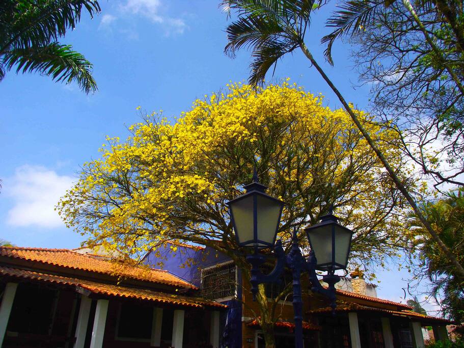 Nossa primavera!