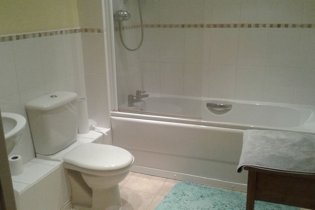 Large bathroom with shower