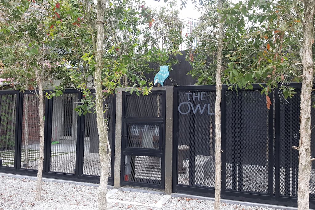 The Owl Homestay