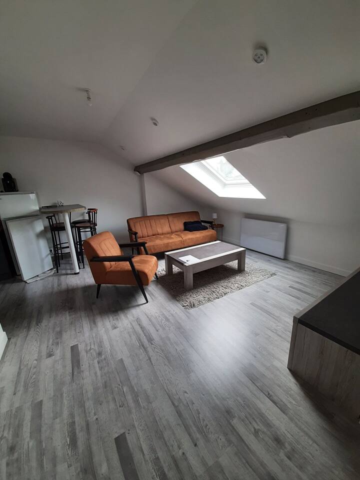 CharlevilleMézières Holiday Rentals & Homes Grand Est, France Airbnb