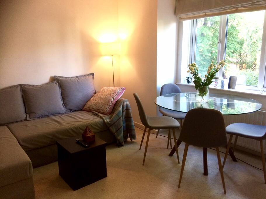Living/ dining room